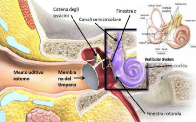 Quali sono le disfunzioni posturali che colpiscono il vestibolo?
