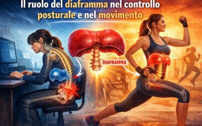 Il ruolo del diaframma nel controllo posturale e nel movimento